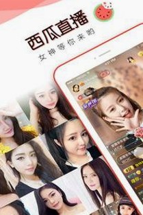 娱乐圈吃瓜风潮背后的人物与文化变迁