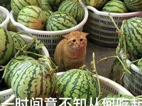 小张：从娱乐吃瓜酱创始人到网红爆料人物的成长轨迹