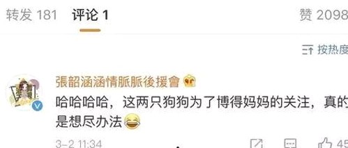 娱乐圈“饺子宴”背后的明星动态揭秘